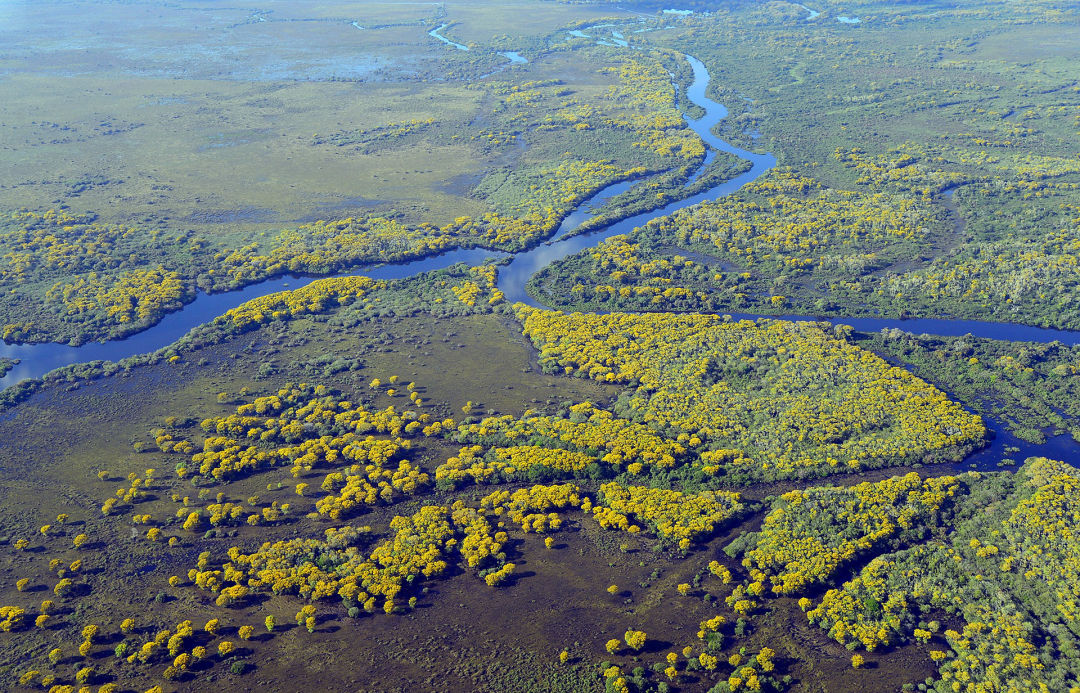 wetland-delineation